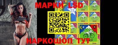 крисы Будённовск