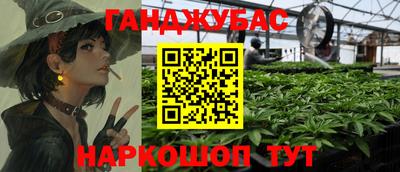 крисы Будённовск