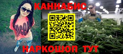 крисы Будённовск